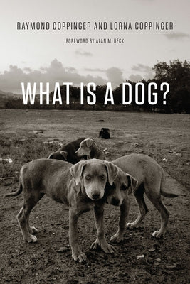 What Is a Dog? Paperback University of Chicago Press