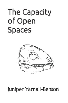 The Capacity of Open Spaces Paperback Independently Published