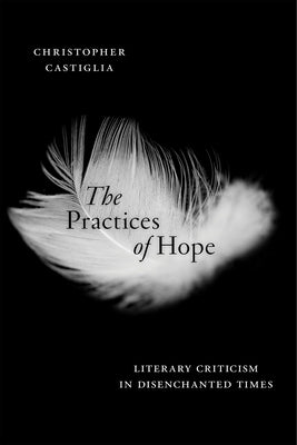 The Practices of Hope: Literary Criticism in Disenchanted Times Paperback New York University Press
