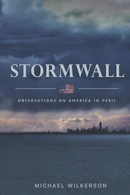 Stormwall: Observations on America in Peril Paperback Michael Wilkerson