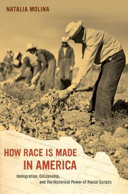 How Race Is Made in America: Immigration, Citizenship, and the Historical Power of Racial Scripts Volume 38 Paperback University of California Press
