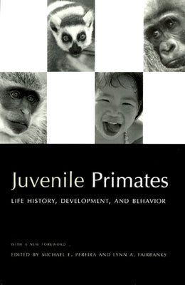 Juvenile Primates: Life History, Development, and Behavior Paperback University of Chicago Press