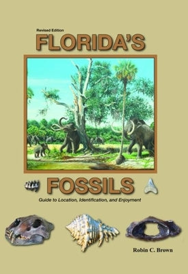 Florida's Fossils, Third Edition Paperback Pineapple Press