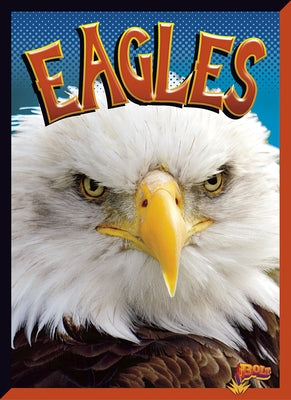 Eagles Paperback Black Rabbit Books
