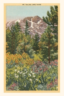Vintage Journal Mt. Tallac, Lake Tahoe Paperback Found Image Press