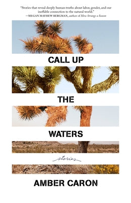 Call Up the Waters: Stories Paperback Milkweed Editions