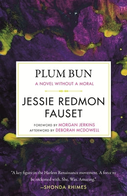 Plum Bun: A Novel Without a Moral Paperback Beacon Press