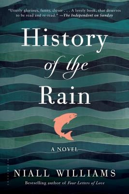 Paperback of "History of the Rain" by Bloomsbury USA featuring a cover with rain and cityscape artwork.