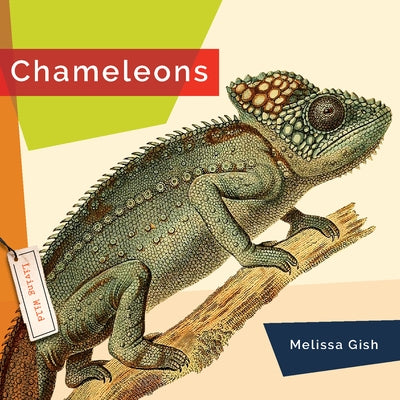 Chameleons Paperback Creative Paperbacks