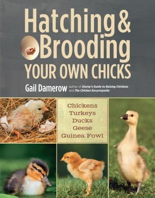 Hatching & Brooding Your Own Chicks: Chickens, Turkeys, Ducks, Geese, Guinea Fowl Paperback Storey Publishing