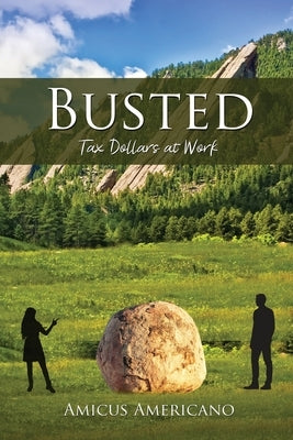 Busted (Tax Dollars at Work) Paperback Dorrance Publishing Co.