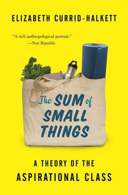 The Sum of Small Things: A Theory of the Aspirational Class Princeton University Press