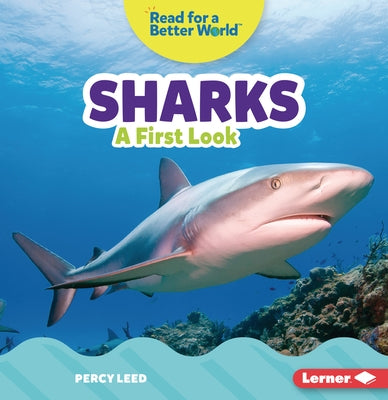 Sharks: A First Look Paperback Lerner Publications (Tm)