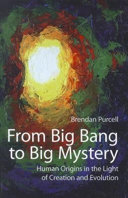 From Big Bang to Big Mystery: Human Origins in the Light of Creation and Evolution Paperback New City Press