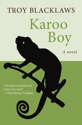 Karoo Boy Paperback Open Road Media