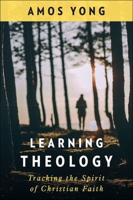 Learning Theology: Tracking the Spirit of Christian Faith Paperback Westminster John Knox Press