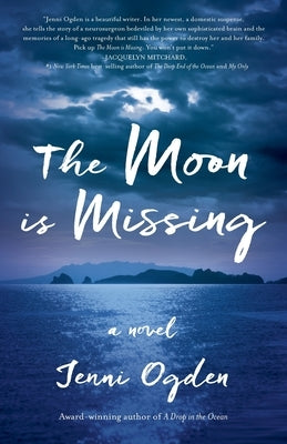 The Moon is Missing Paperback Sea Dragon Press