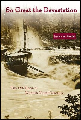 So Great the Devastation: The 1916 Flood in Western North Carolina Paperback North Carolina Division of Archives & History