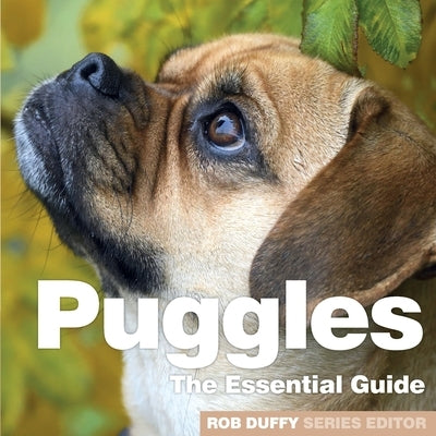 Puggles: The Essential Guide Paperback Bxplans.Ltd