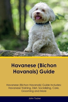 Havanese (Bichon Havanais) Guide Havanese Guide Includes: Havanese Training, Diet, Socializing, Care, Grooming, and More Paperback Desert Thrust Ltd