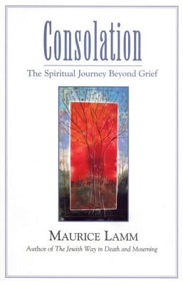 Consolation: The Spiritual Journey Beyond Grief Paperback University of Nebraska Press