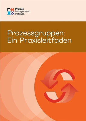 Process Groups: A Practice Guide (German) Paperback Project Management Institute