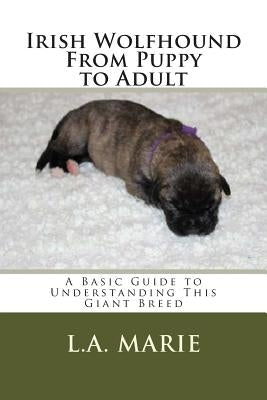 Irish Wolfhound From Puppy to Adult: A Basic Guide to Understanding This Giant Breed Paperback Createspace Independent Publishing Platform