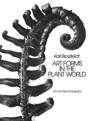 Art Forms in the Plant World Dover Publications
