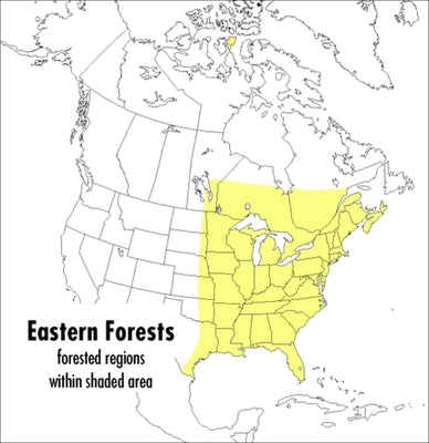 A Peterson Field Guide to Eastern Forests: North America by Kricher, John