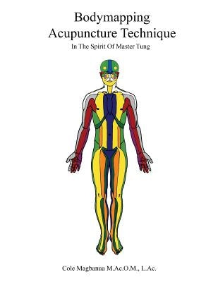Bodymapping Acupuncture Technique: In the Spirit of Master Tung Paperback Alcmag Inc