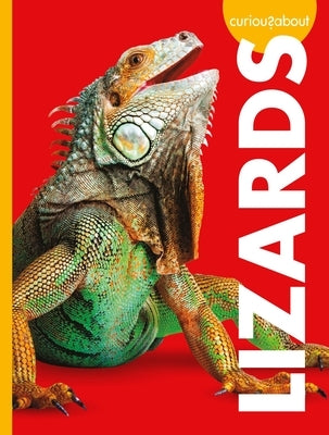 Curious about Lizards Paperback Amicus Ink