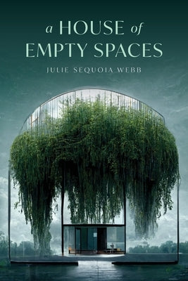 A House of Empty Spaces Paperback Palmetto Publishing