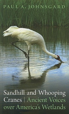 Sandhill and Whooping Cranes: Ancient Voices Over America's Wetlands Paperback Bison