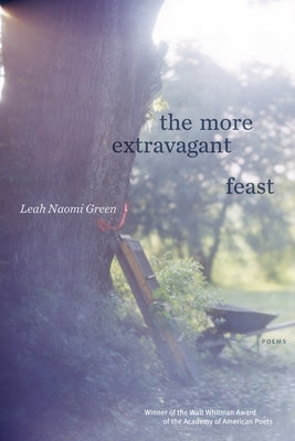 The More Extravagant Feast: Poems Paperback Graywolf Press