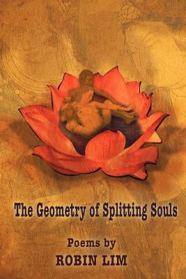 The Geometry of Splitting Souls Paperback 1st World Publishing
