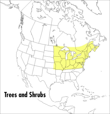 A Field Guide to Trees and Shrubs: Northeastern and North-Central United States and Southeastern and South-Central Canada Paperback Mariner Books