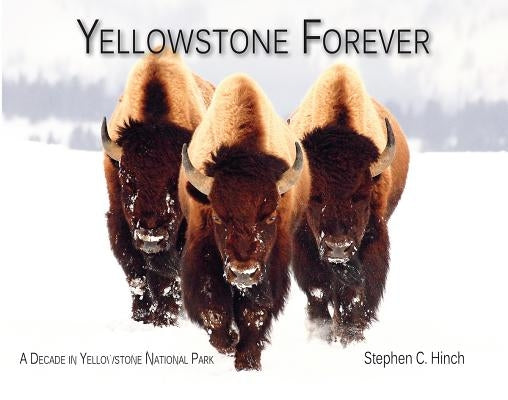 Yellowstone Forever: A Decade in Yellowstone National Park Paperback Sweetgrass Books