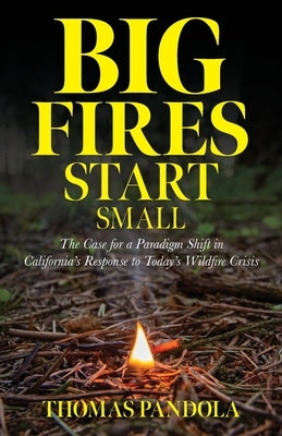 Big Fires Start Small: The Case for a Paradigm Shift in California's Response to Today's Wildfire Crisis Paperback Palmetto Publishing
