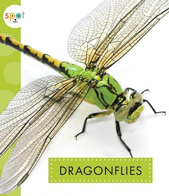 Dragonflies Paperback Amicus Ink