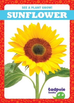Sunflower Paperback Tadpole Books