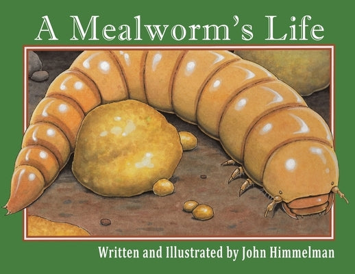 A Mealworm's Life Paperback Mazo Publishers