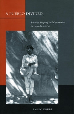 A Pueblo Divided: Business, Property, and Community in Papantla, Mexico Paperback Stanford University Press
