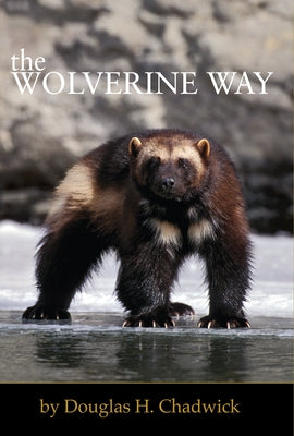 Patagonia The Wolverine Way book cover featuring a mountain landscape with rugged terrain and outdoor adventure imagery.
