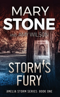 Storm's Fury Paperback Independently Published