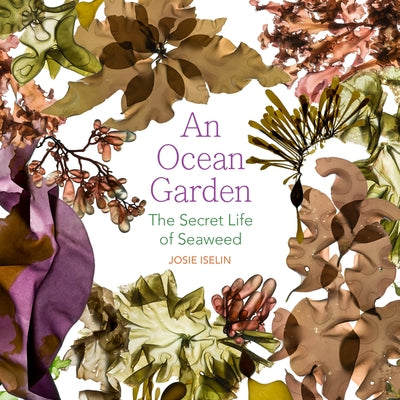 An Ocean Garden: The Secret Life of Seaweed Paperback Oregon State University Press