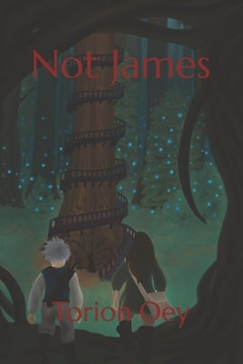 Not James Paperback Independently Published