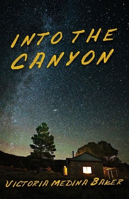 Into the Canyon Paperback Xulon Press