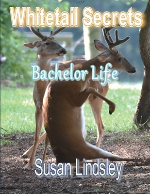 Whitetail Secrets: Bachelor Life Paperback Thomas Max Publishing