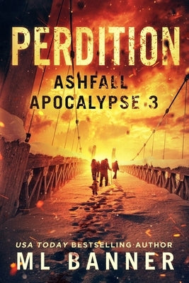 Perdition: An Apocalyptic Thriller Paperback Toes in the Water Publishing, LLC