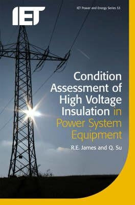 Condition Assessment of High Voltage Insulation in Power System Equipment Paperback Institution of Engineering & Technology